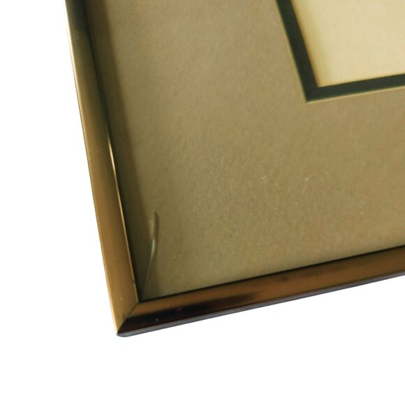 Susan Morrison Coyote Signed & Numbered Print With Gold Metal Frame 1980 - Picture 6 of 8